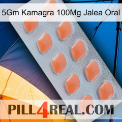 5Gm Kamagra 100Mg Oral Jelly 26